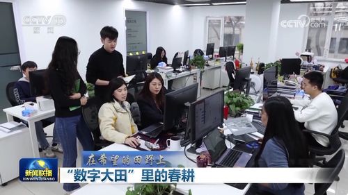 數字大田里的春耕 上海信息咨詢服務引領農業(yè)現(xiàn)代化新篇章
